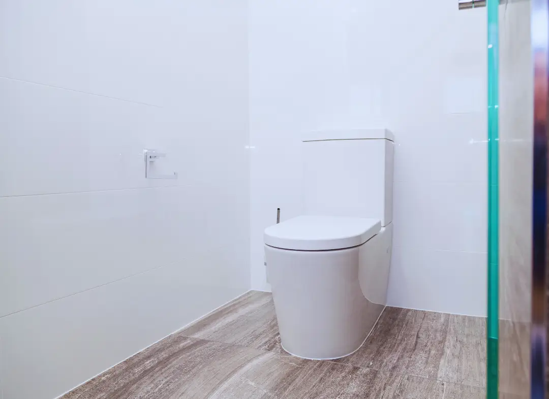 Remplacement de wc Aussonne